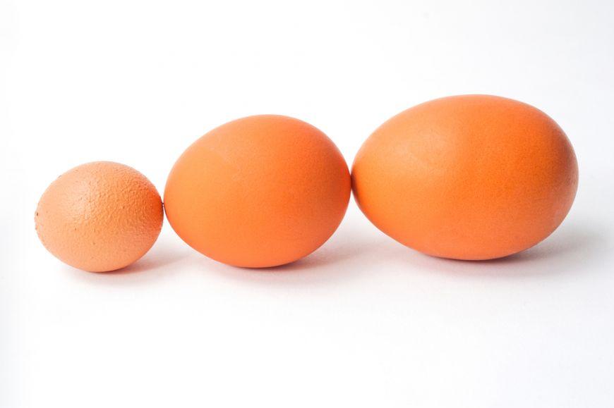 Comparații dimensiuni ou